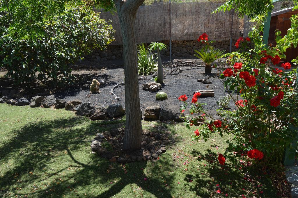 La Alpispa San Francisco de Paula ภายนอก รูปภาพ