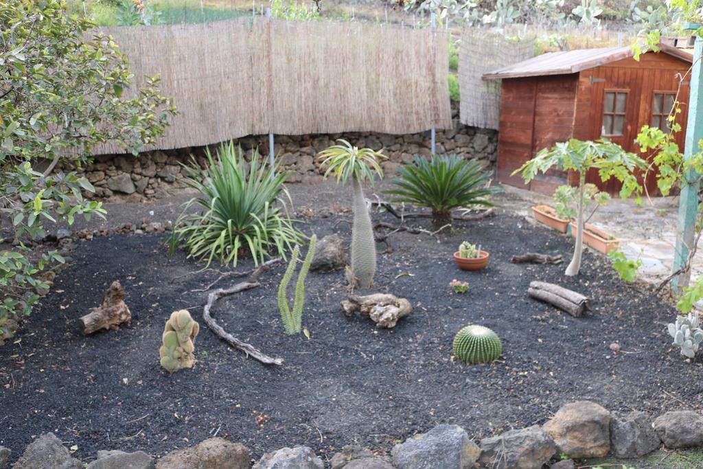 La Alpispa San Francisco de Paula ภายนอก รูปภาพ